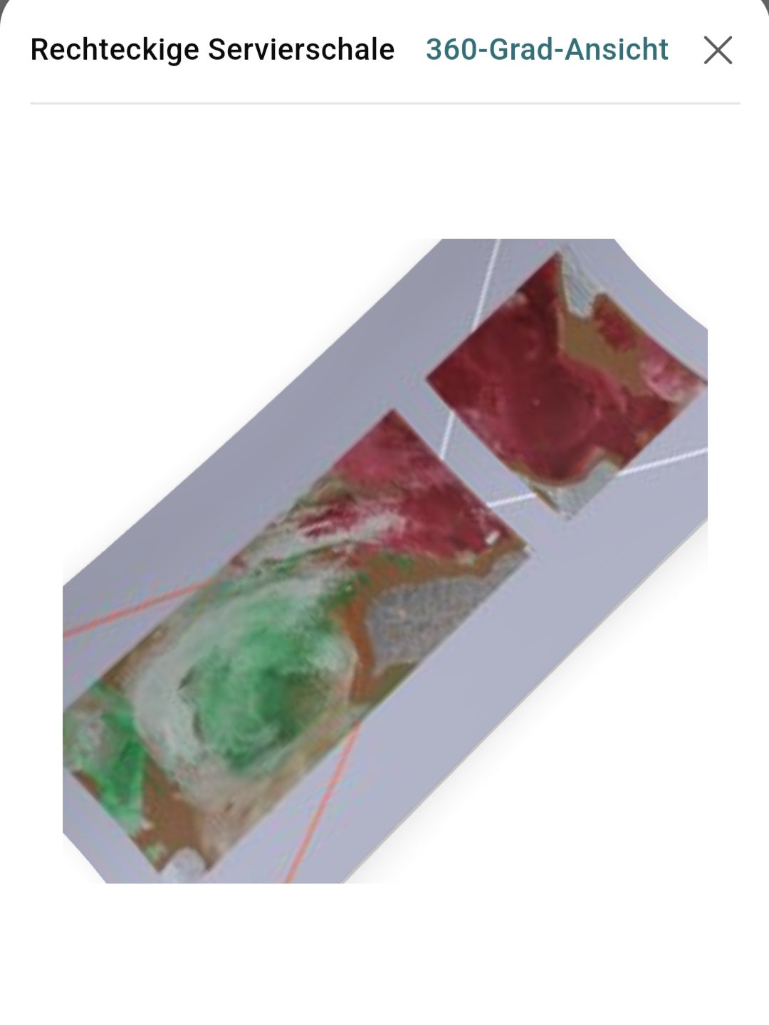 Fine Art Acrylic Body Print Serving Dish Original Design